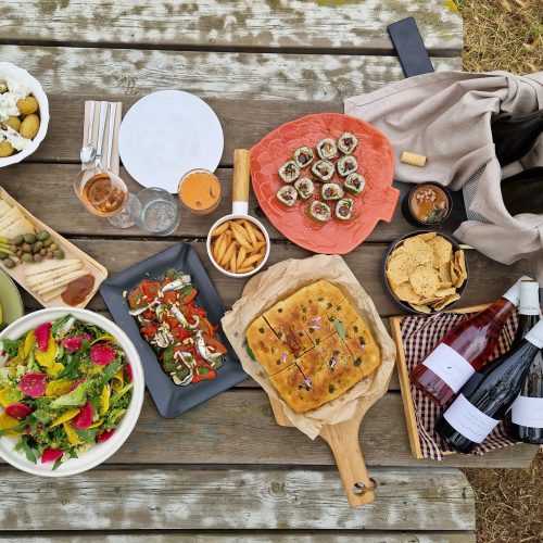 Visita i pícnic entre vinyes